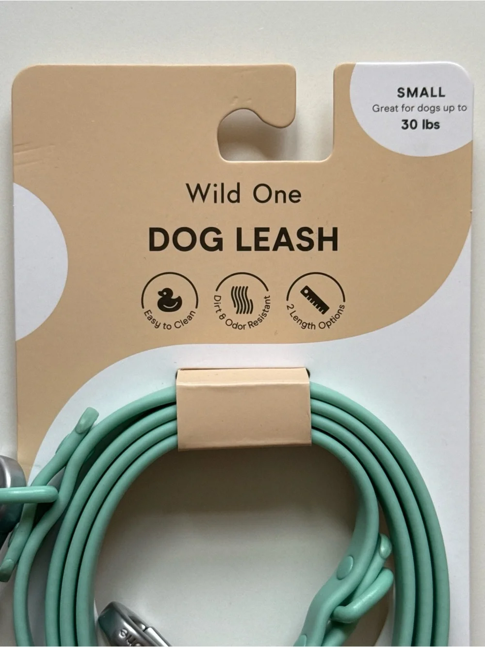 Wild One Adjustable Waterproof FlexPoly Coated Nylon Dog Leash - Small - Seafoam